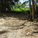 Villas Jardin Caracol #304