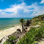 Menesse Tulum #327, Downtown