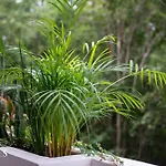 1 Rec. | Amenidades Lx | Ubicacion Prime