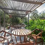 Aldea Savia Un Oasis De Paz En El Corazon De Tulum
