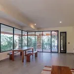 Aldea Savia Un Oasis De Paz En El Corazon De Tulum