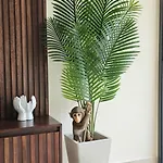 Temple Paradise Luxury 6 Min From
