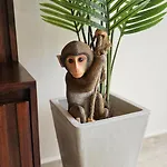 Apartamento Temple Paradise Luxury 6 Min From Tulum