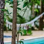 Ph With Private Pool And Bikes