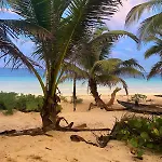 Playa Lakin-ha Beachfront Cabins Campsite *