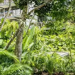 Divine 1br Ph W Private Pool, Cenote, Gym Tulum