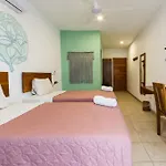 Sonno Caliza Hotel *