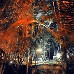 Maya Balam Tulum