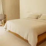 Villa Jashita Luxury *