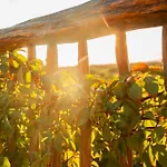 Casa Teka - Boutique Hotel & Cenote