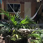 Casa Tzalam Tulum Selva