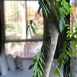 Bau 4* Tulum