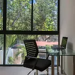 Wonderful Tropical 3br, Garden, Private Pool. * Tulum