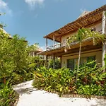 Hotel Shibari - Restaurant & Cenote Club