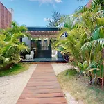 Fronds And Sun At Toh 11