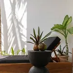 Estudio 108 Veleta