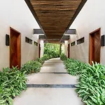 Cacao Tulum - Studio With Exterior Plunge Pool Washer & Dryer