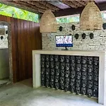 Tribu 202