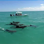 A Pasos De La Playa, Con Terraza Y Jacuzzi