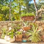 Agua Y Fuego Tulum