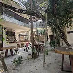 Suite Entre Cenotes Y Selva