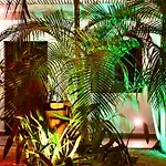 Pacha Tulum Boutique Hotel