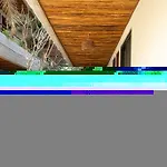 New 1 Bed Room - Tulum - Private Terrace