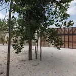 Casa Aguacate Tulum