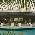 Jungle Spa Retreat - Luum Zama
