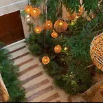 Jungle Spa Retreat - Luum Zama