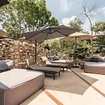Jungle Dream Paradise Apartment