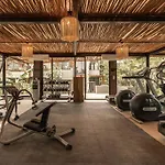 Jungle Dream Paradise Apartment