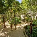 Villa Tuane Luxury Homes