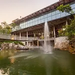 Sleeps 6 2 Private Jacuzzi Pools On Cenote