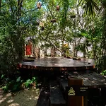 Penthouse With Private Jungle, Pool, Downtown Apartment *