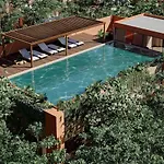 Estudio Completo En La Selva