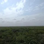 Departamento De 1 Hab Con Balcon En Zona Hotelera Ad Tulum