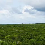 Apartamento Designer Penthouse - Rooftop Pool & Jungle View Tulum