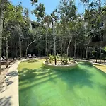 Botanics By Endemico Los Laureles