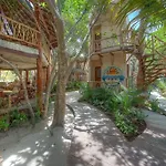 Life Source Retreats Tulum