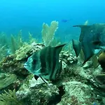 Al Lado De Zamna, Cenotes, Alberca, 2 Rec, Cerca De Aeropuerto, Playa 15 Min Apartamento Tulum
