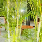 Xp By Dream Vacay 3* Tulum