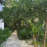 Cozy And Stylish Studio In Tulum Center