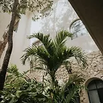 Apartamento Design Casa Sandalo With Private Pool And Lounge *