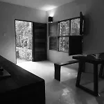 Barefoot Jungle Studios