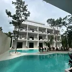Tulum Ayook Starlink
