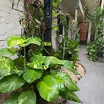 Estudio Centrico Tulum