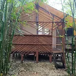 Cabana Zapote En Rancho Los Jaguares Jungle Retreat Tulum