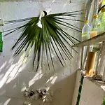Casa Kuma * Tulum