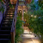 Amor Rooms Hotel Tulum